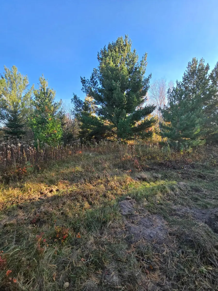 XXX1 Gregory, Hillman, MN 56338 - #2