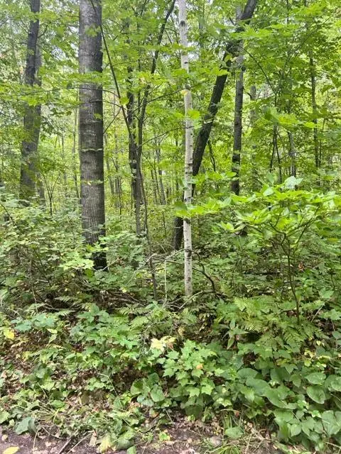 xxx Opal Lane, Cushing, MN 56443