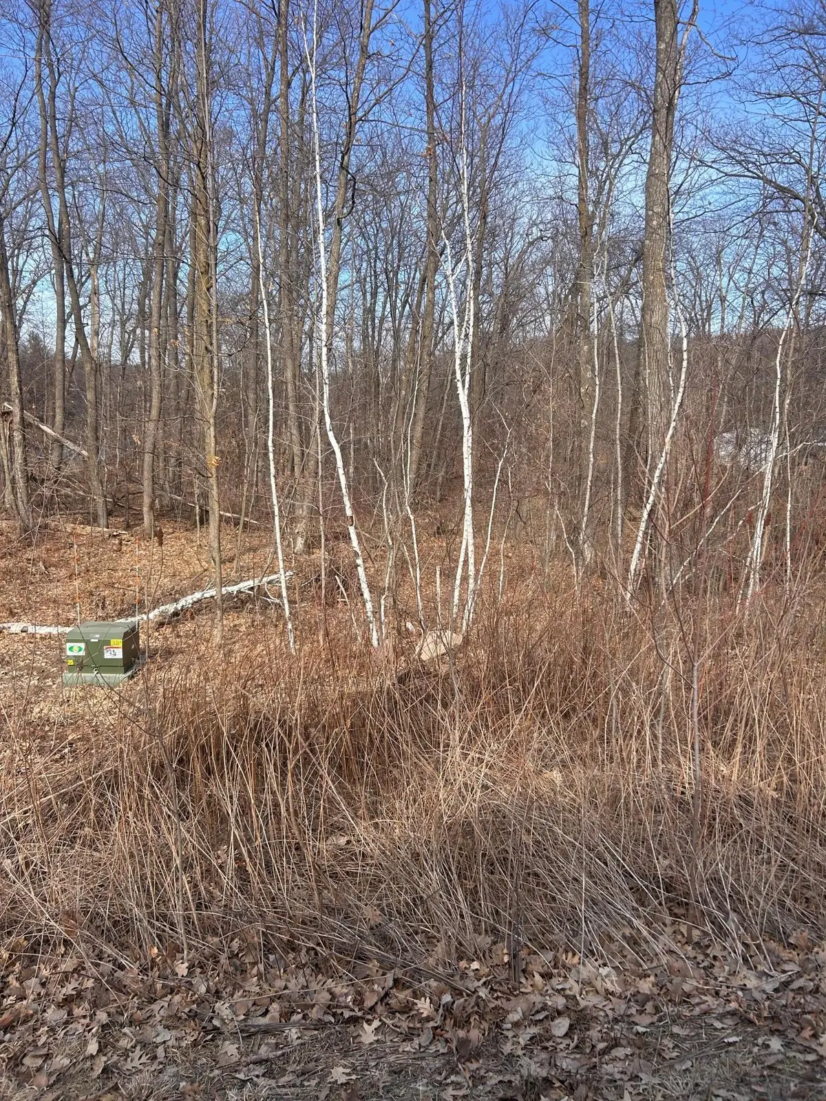 xxx Lake Camile Rd, Cushing, MN 56443 - #1