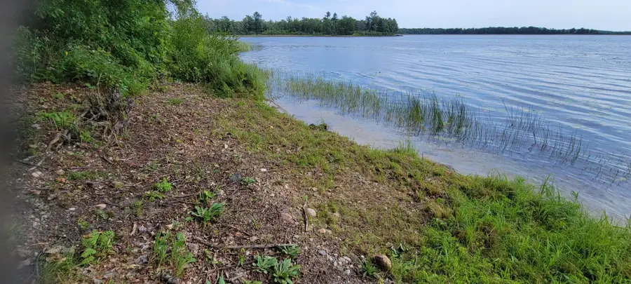 7280 County Road 8 Ne, Longville, MN 56655 - #2