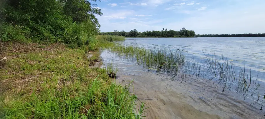 7280 County Road 8 Ne, Longville, MN 56655 - #3