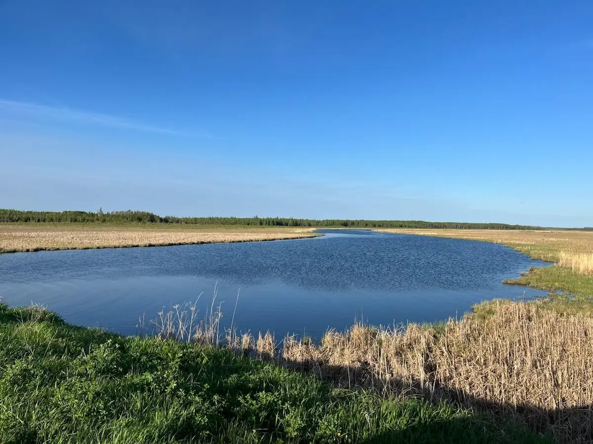 9815 County 8 Ne, Federal Dam, MN 56641 - Image #1