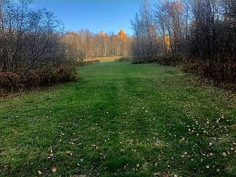 9815 County 8 Ne, Federal Dam, MN 56641 - Image #3