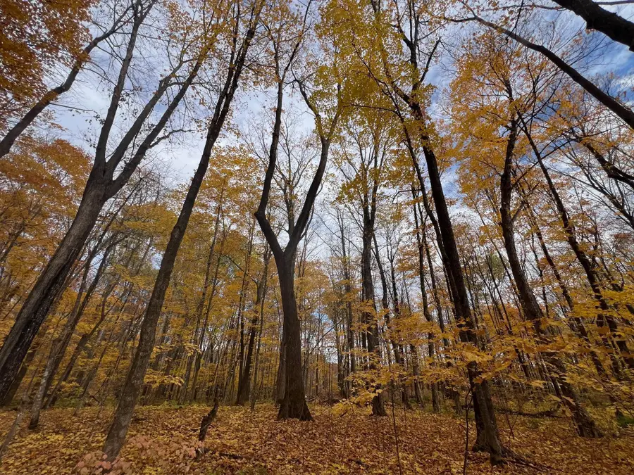 154XX Durphee Lane, Hayward, WI 54843 - #3