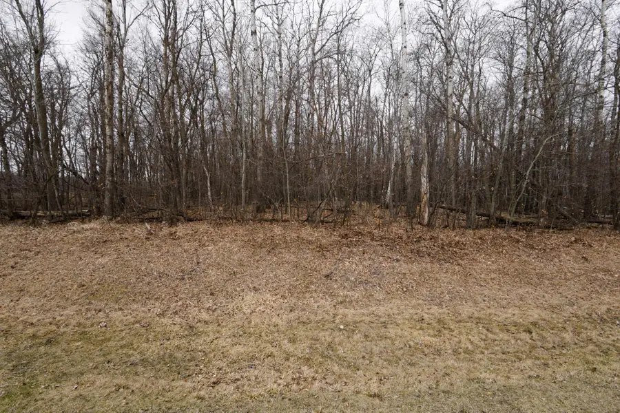 Lot 3 Saylers Beach Road, Lake Park, MN 56554 - #2