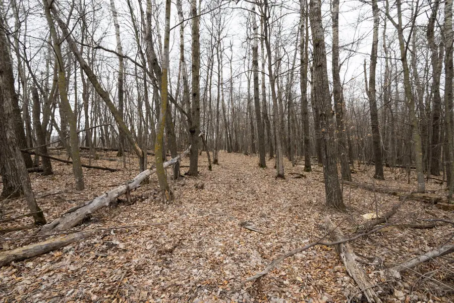 Lot 3 Saylers Beach Road, Lake Park, MN 56554 - #3