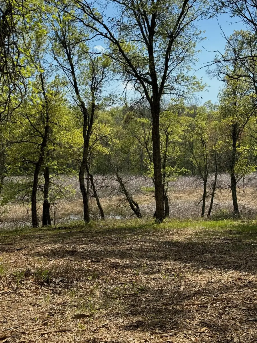 Lot 12 Crystal Lake Drive, Danbury, WI 54830 - #3