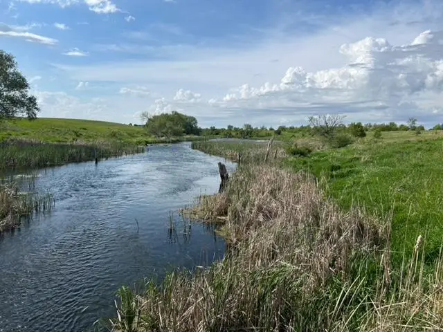 XXXXX 170th Avenue, Glenwood, MN 56334 - #2