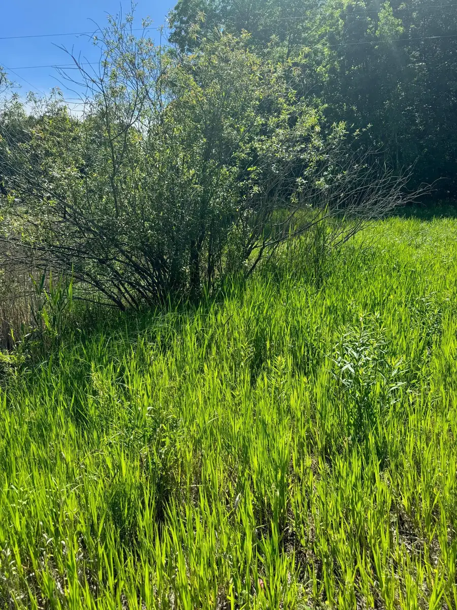 TBD County 29, Browerville, MN 56438 - #3