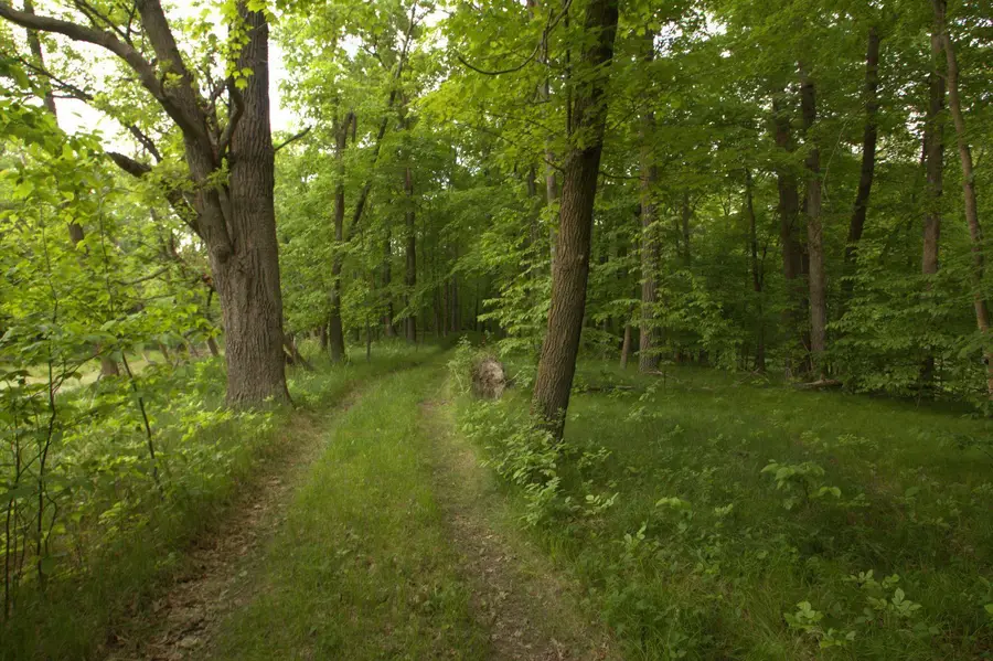 4XXXX E Lake Lizzie Rd, Pelican Rapids, MN 56572 - Image #2