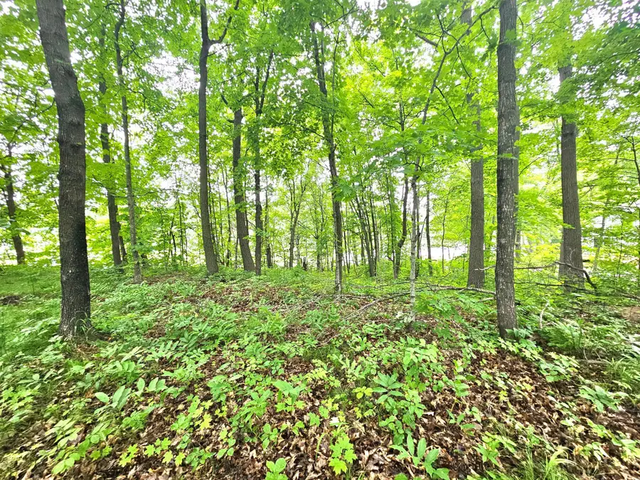 TBD East Grace Street, Isle, MN 56342 - #3