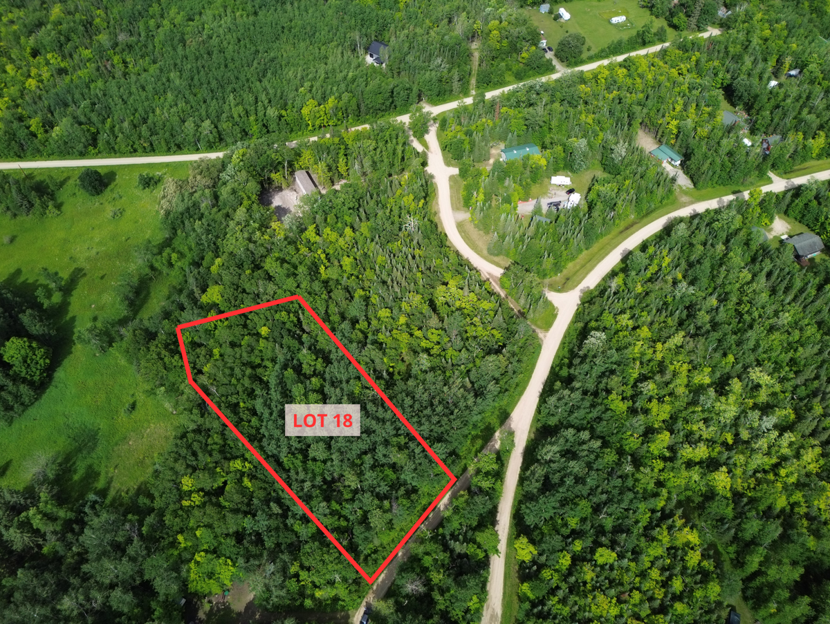 Lot 18 Natures Trail, Federal Dam, MN 56641 - Image #1