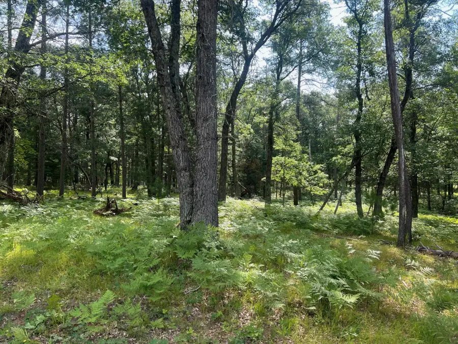 Lot 207 Deerpath Terrace, Danbury, WI 54830 - #2