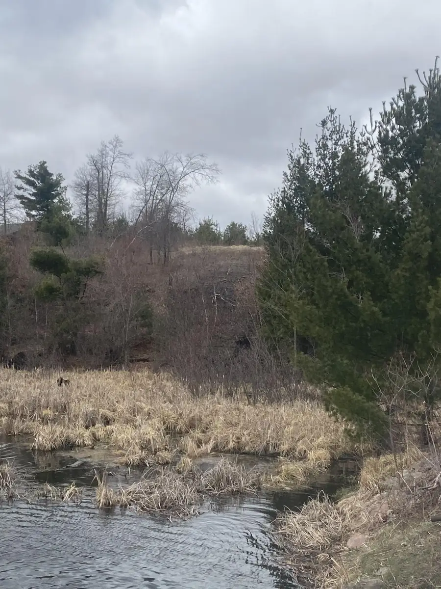 Lot 1 10-7/8 Avenue, Cameron, WI 54822 - Image #2