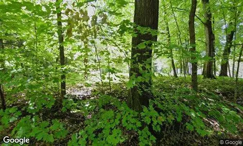 25975 Wild Rose Lane, Excelsior, MN 55331