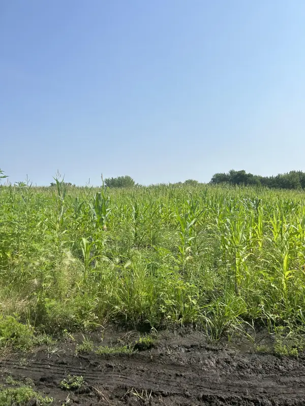 XXXXX 330th Street, Northfield, MN 55057