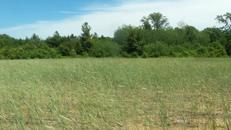 LOT 18 Maple Ln, Siren, WI 54872 - Image #2