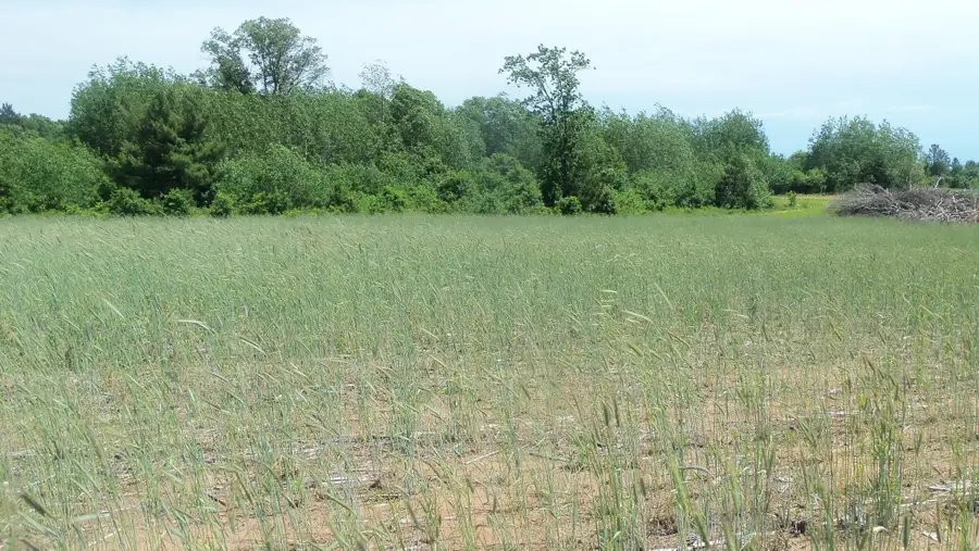 LOT 18 Maple Ln, Siren, WI 54872 - Image #3