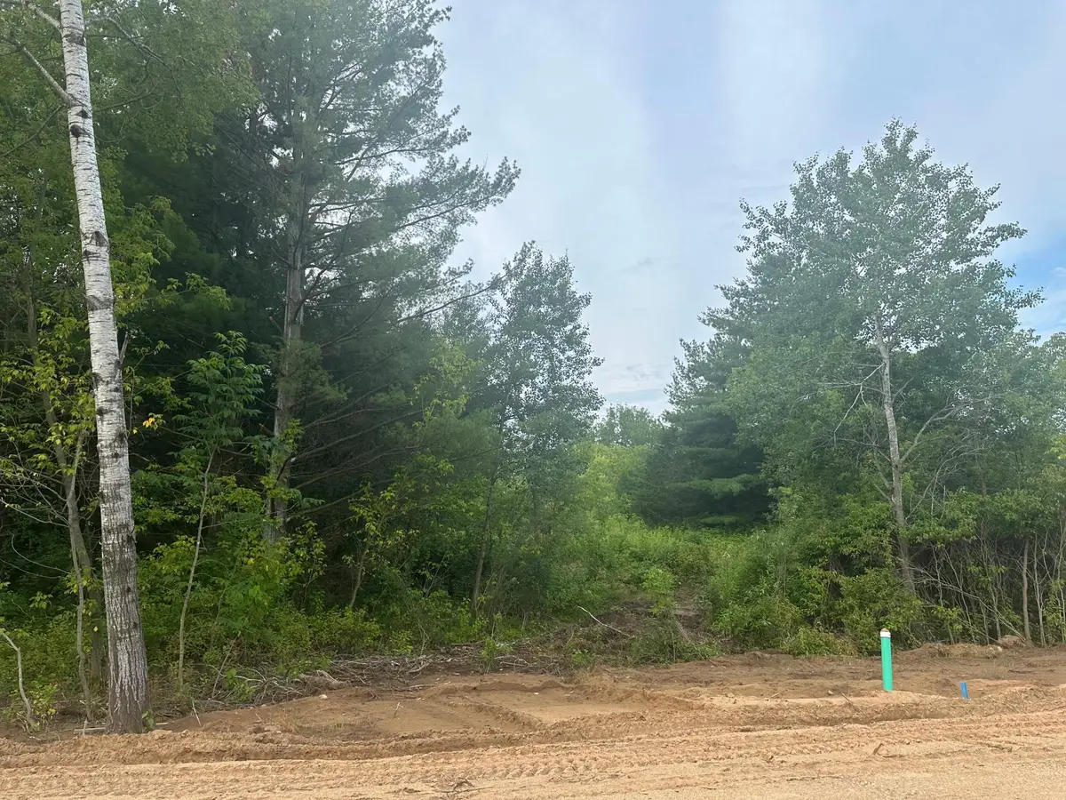 Lot 12 Blk 1 Brummer Drive, Randall, MN 56475 - Image #1