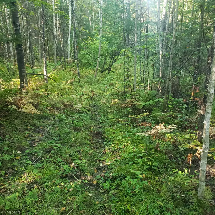TBD Gamma Rd, Kabetogama, MN 56669 - Image #3