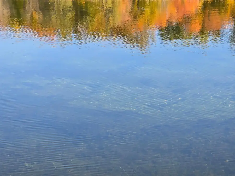 Tract B Blybergs Lane, Pelican Rapids, MN 56572 - Image #3