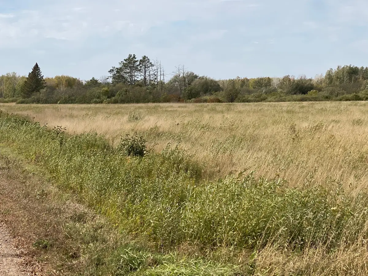 XXXX Silver Creek Road, Kettle River, MN 55757 - #1