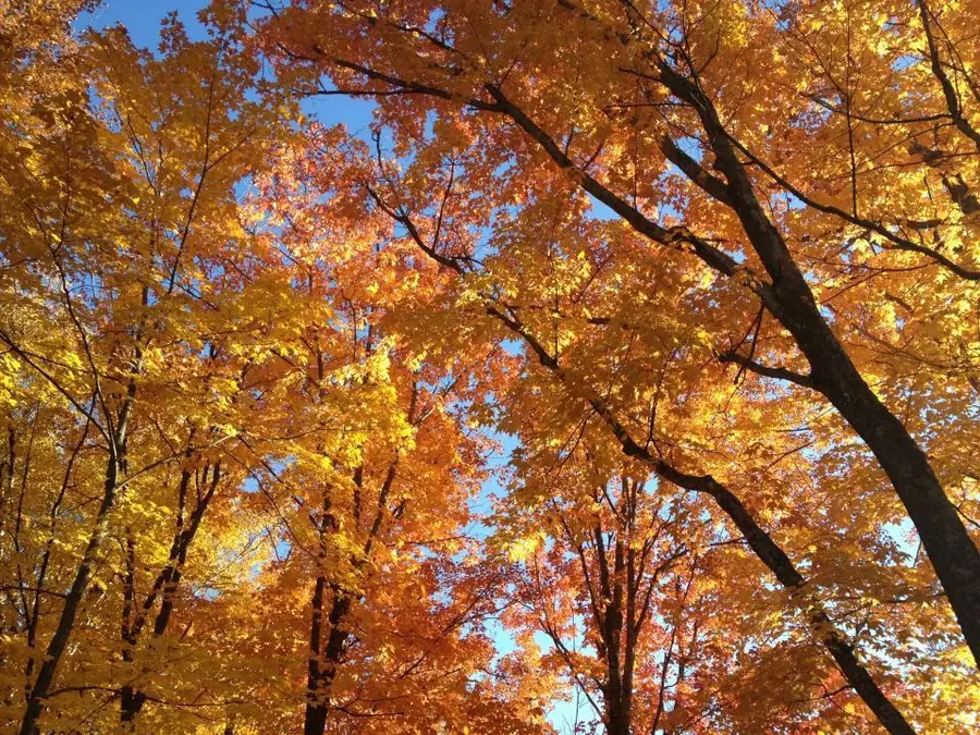 446 Stewart Lake Road, Two Harbors, MN 55616 - Image #2