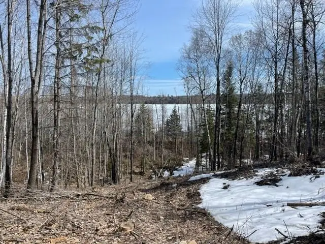 TBD Lot 6 New Paradise Point Drive, Lake George, MN 56458 - #2