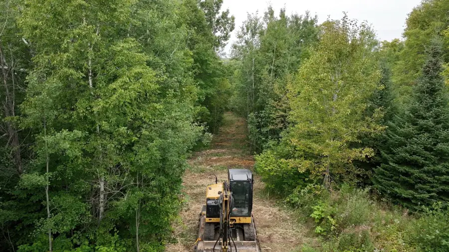 TBD Zekes Road, Schroeder, MN 55613 - Image #2