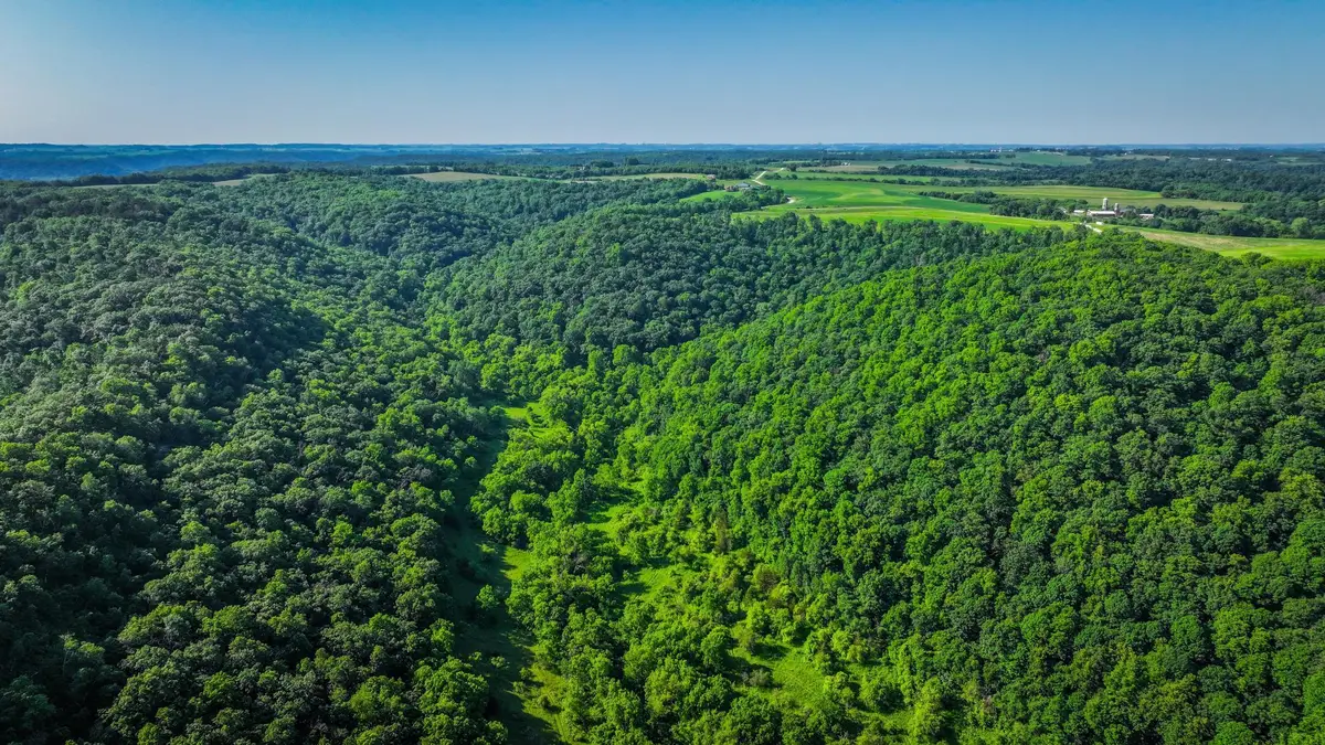 xxx East Twin Ridge Road, Houston, MN 55943 - Image #1