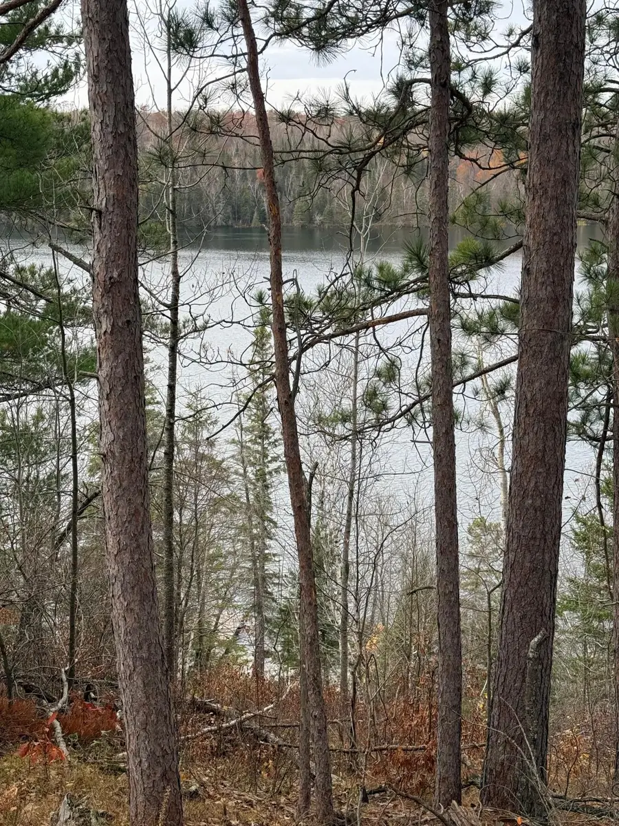 TBD Quetzal Drive, Solway, MN 56678 - Image #2