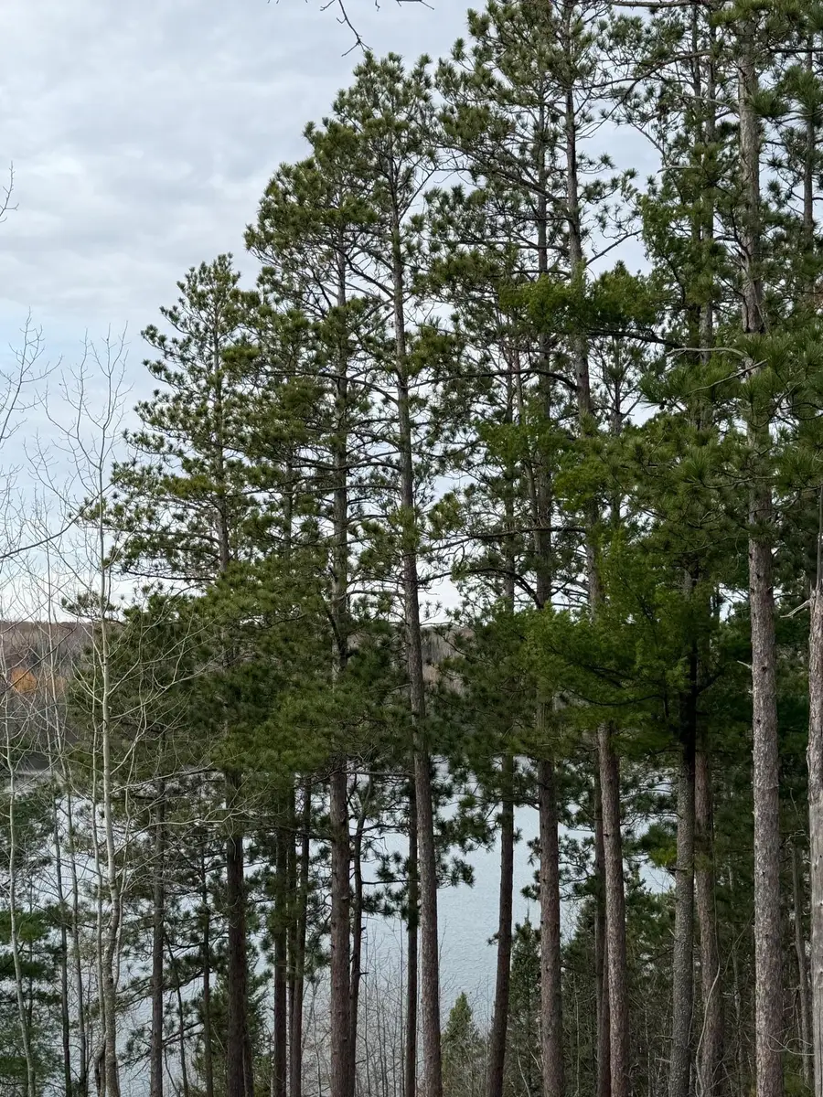 TBD Quetzal Drive, Solway, MN 56678 - Image #3