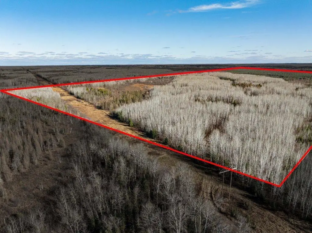 TBD County Rd 60, Grand Rapids, MN 55744 - #1
