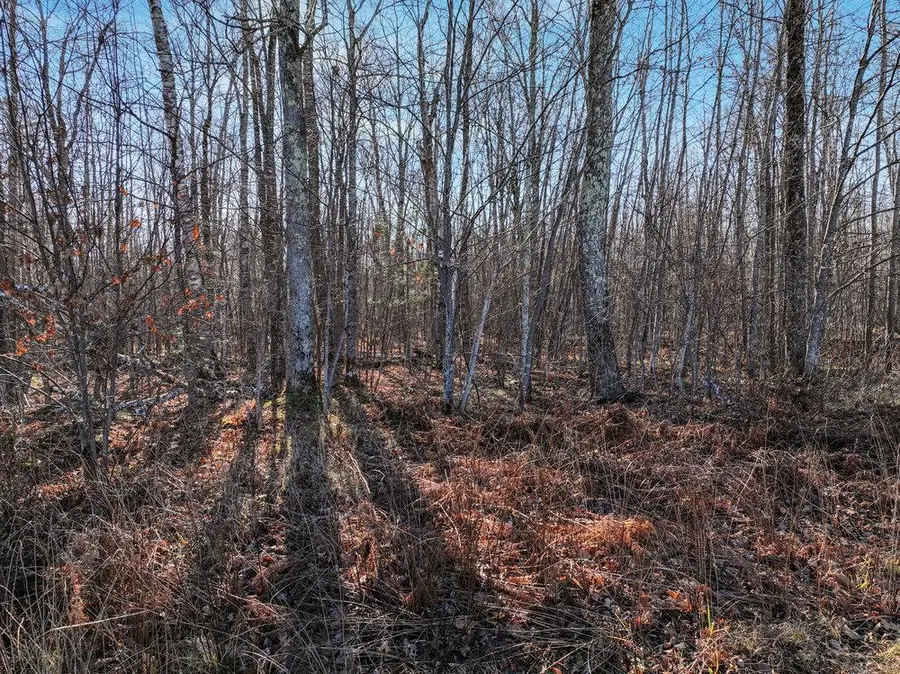 Lot 14 Peninsula Road, Hayward, WI 54843 - #2