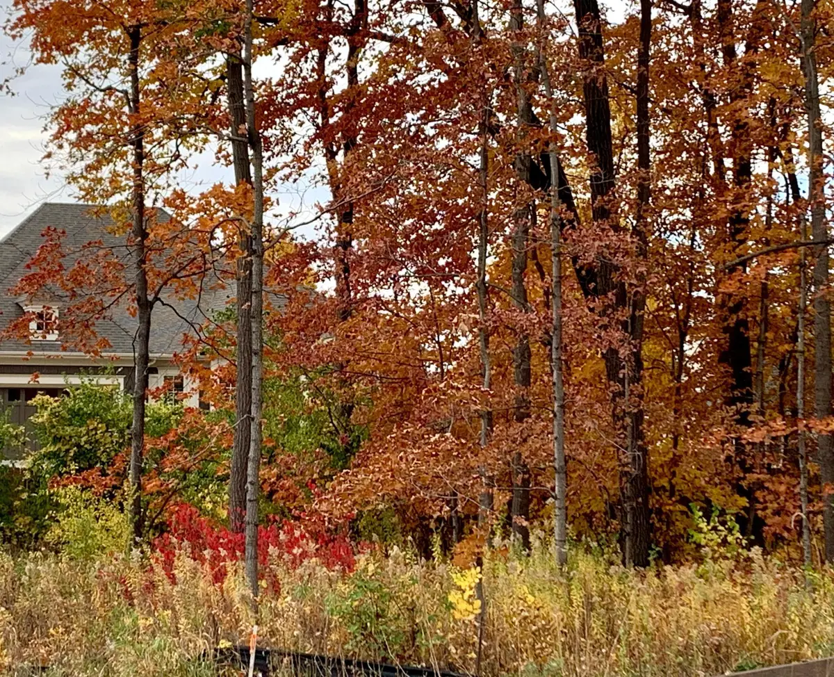 701 Shawnee Woods Road, Hamel, MN 55340 - Image #1