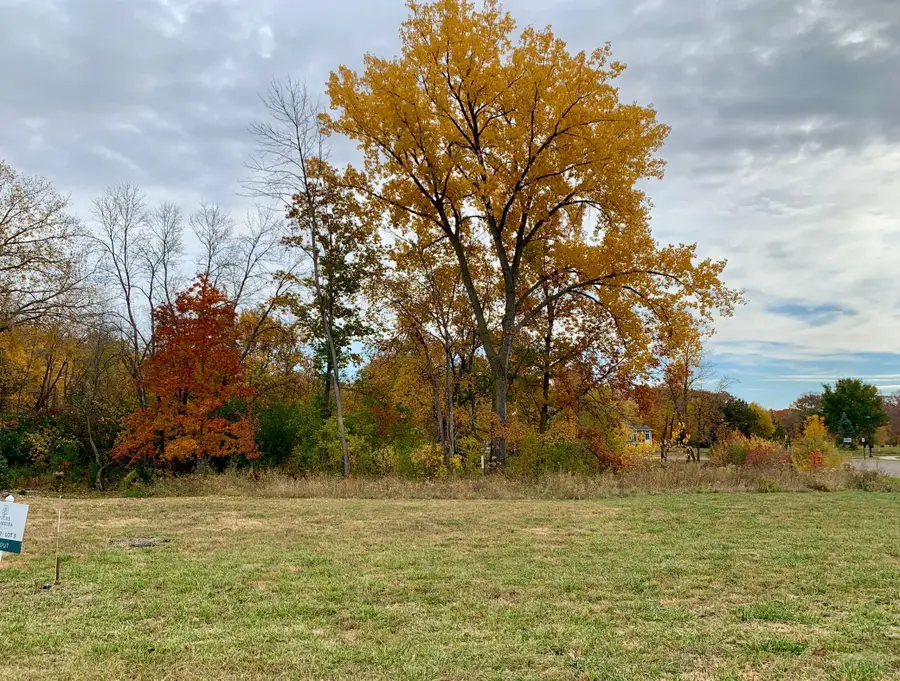 4400 Poppy Drive, Hamel, MN 55340 - Image #2