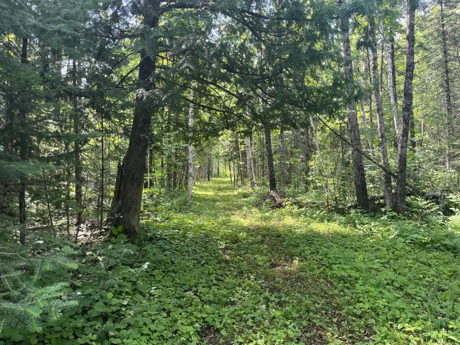 1961 Town Road 118, Birchdale, MN 56629 - Image #3