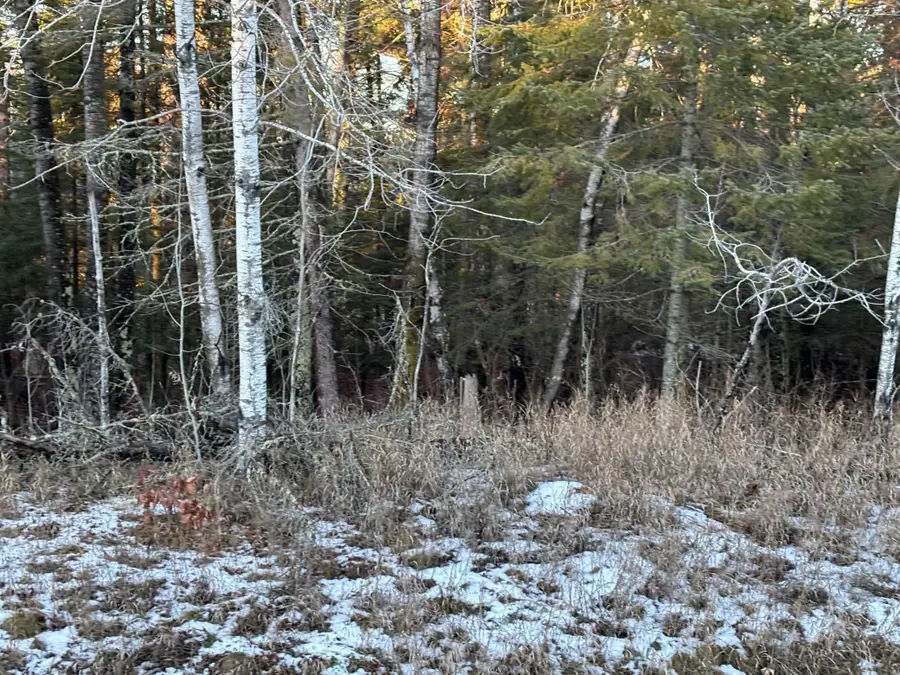 XXXX NW County 47, Longville, MN 56655 - Image #2