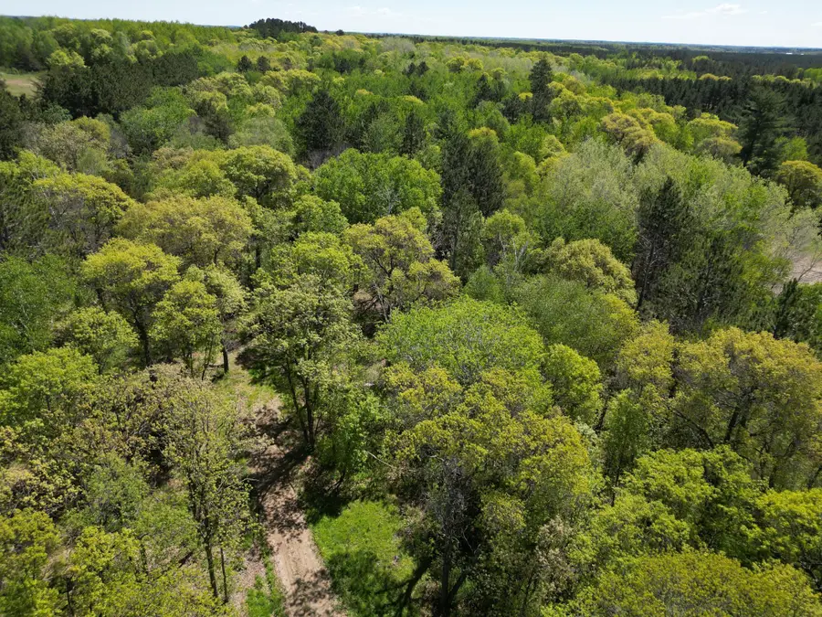 TBD County 2, Nevis, MN 56467 - Image #3