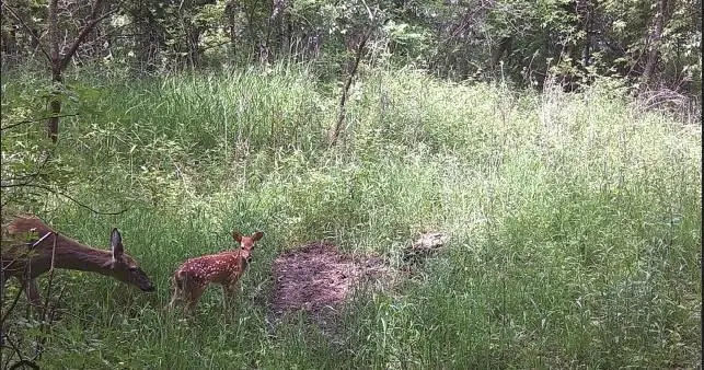 B1 L4 181st Ave Nw, Ramsey, MN 55303 - Image #3