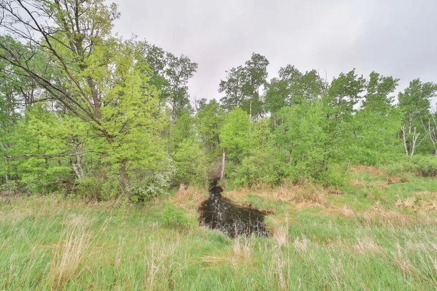 9683 State Highway 25, Brainerd, MN 56401 - Image #3