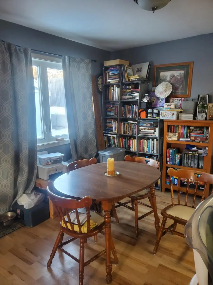 573 5th Avenue, Calumet, MN 55716 - #3