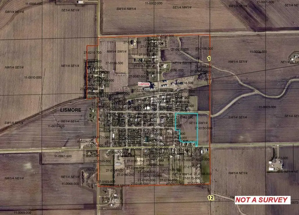 TBD 4th St., Lismore, MN 56155 - Image #1