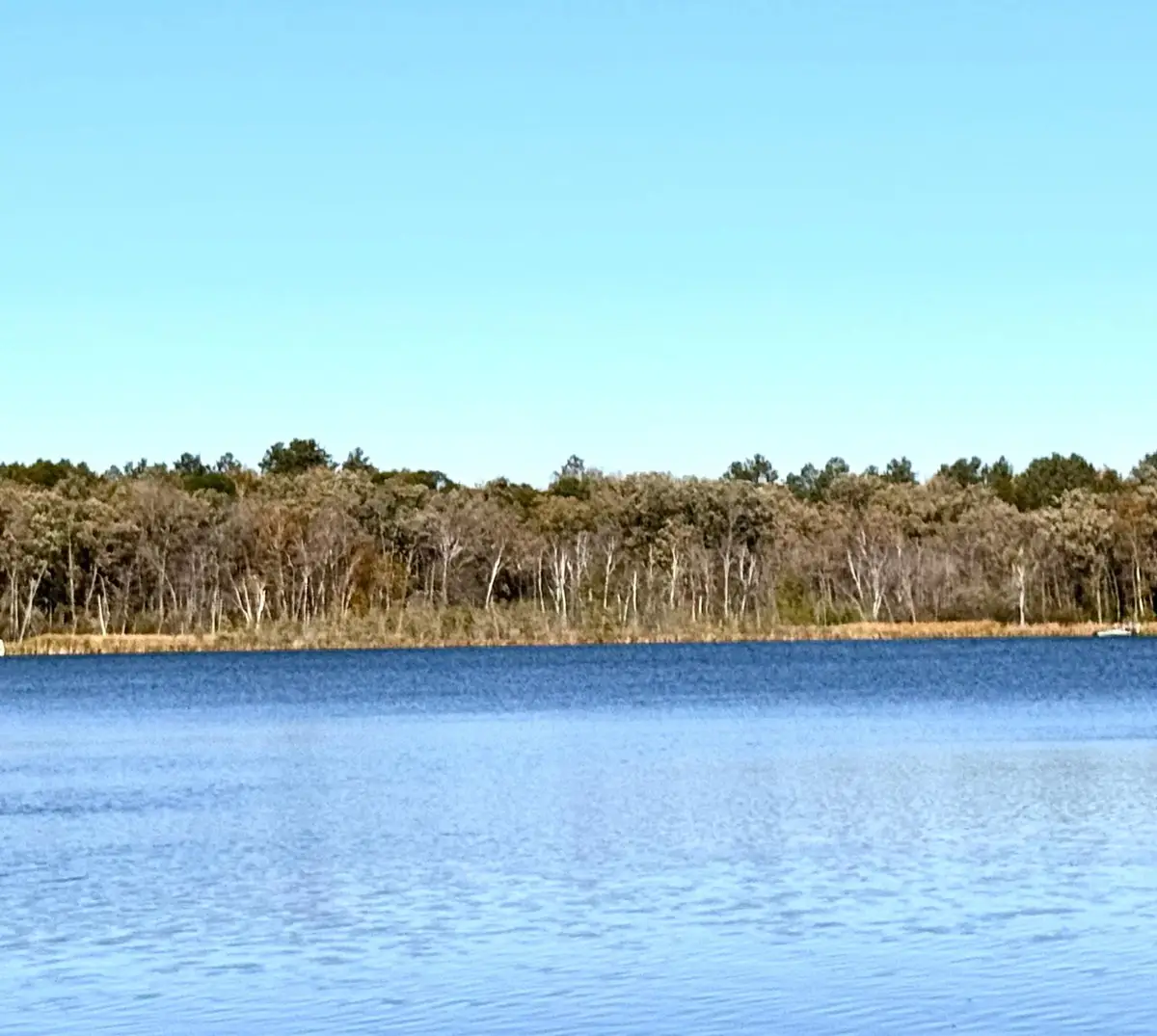 TBD 141st Avenue, Menahga, MN 56464 - Image #1