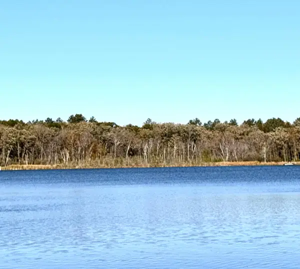 TBD 141st Avenue, Menahga, MN 56464