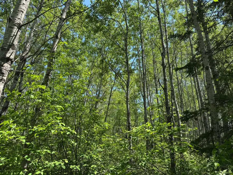 TBD Irondale Road, Superior, WI 54880 - Image #2