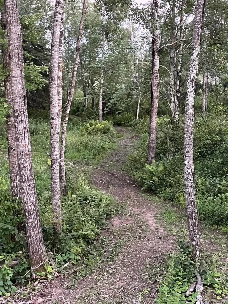 2155 E Kingsdale Road, Danbury, WI 54830 - Image #3