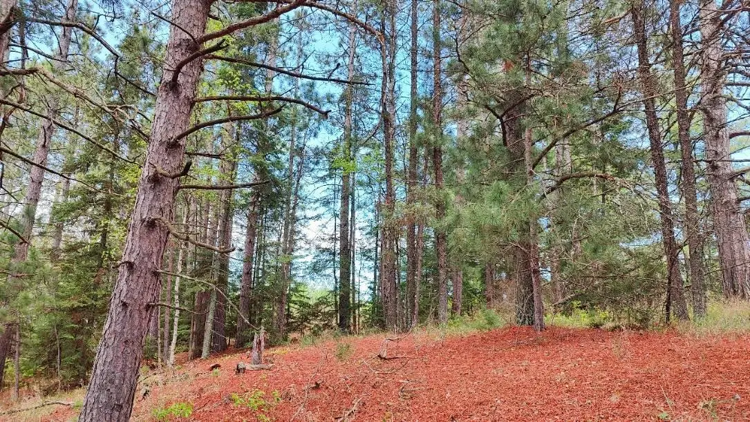 80064 Osprey Pass, Tower, MN 55790 - Image #1