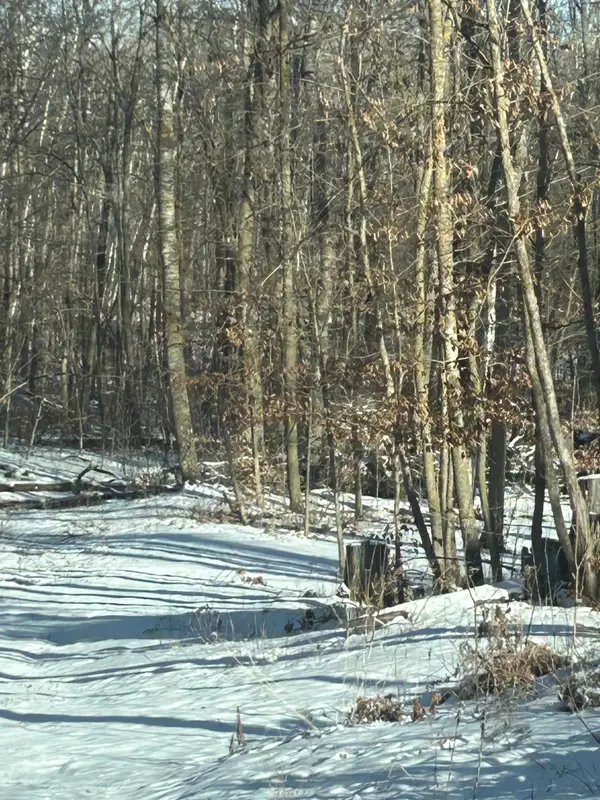 xxx Birchcurve Road, Randall, MN 56475