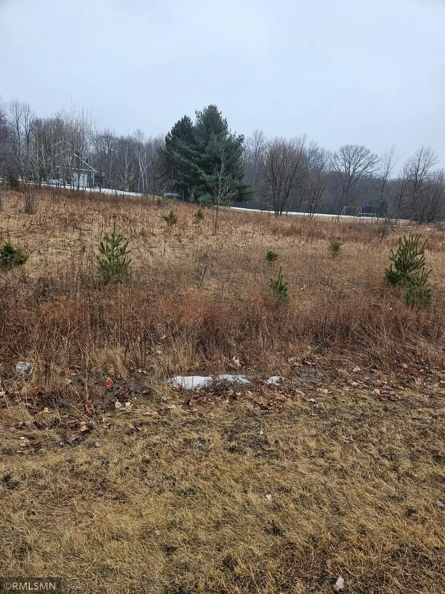 xxx Little Falls Circle, Amery, WI 54001 - Image #3